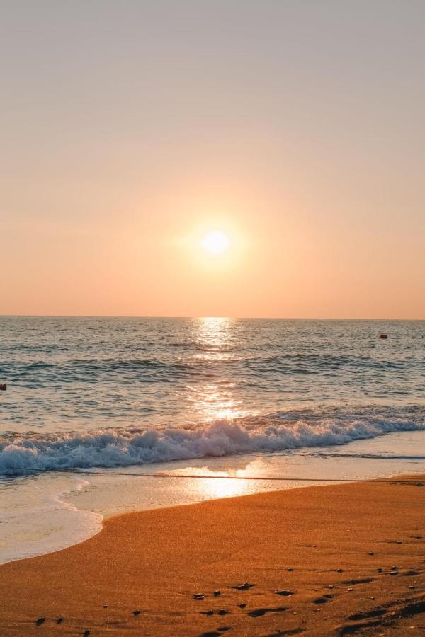 Vivemar Punta Hermosa Beach House Lima - Peru Ngoại thất bức ảnh